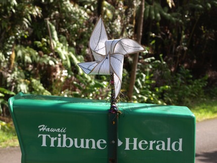 Pinwheels for Peace Hawaii